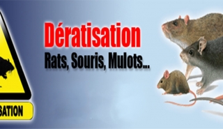 Dates interventions d&eacute;ratisation