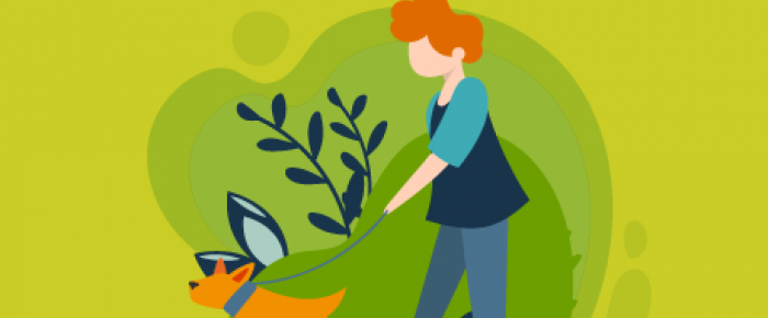 Divagation des animaux sur la voie publique