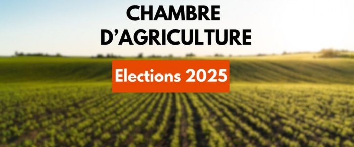 Actualité Actualité