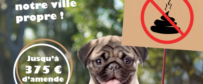 Les d&eacute;jections canines