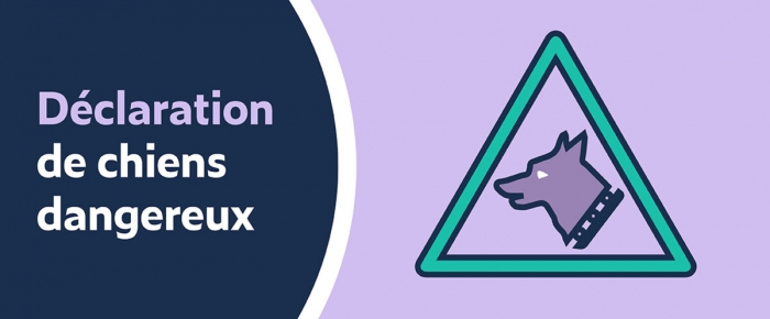 D&eacute;claration de chien