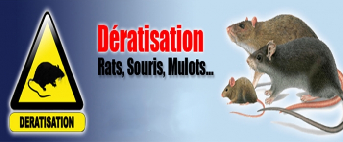 Dates interventions dératisation Dates interventions dératisation